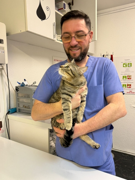 Medic veterinar Laurențiu Bărsășteanu